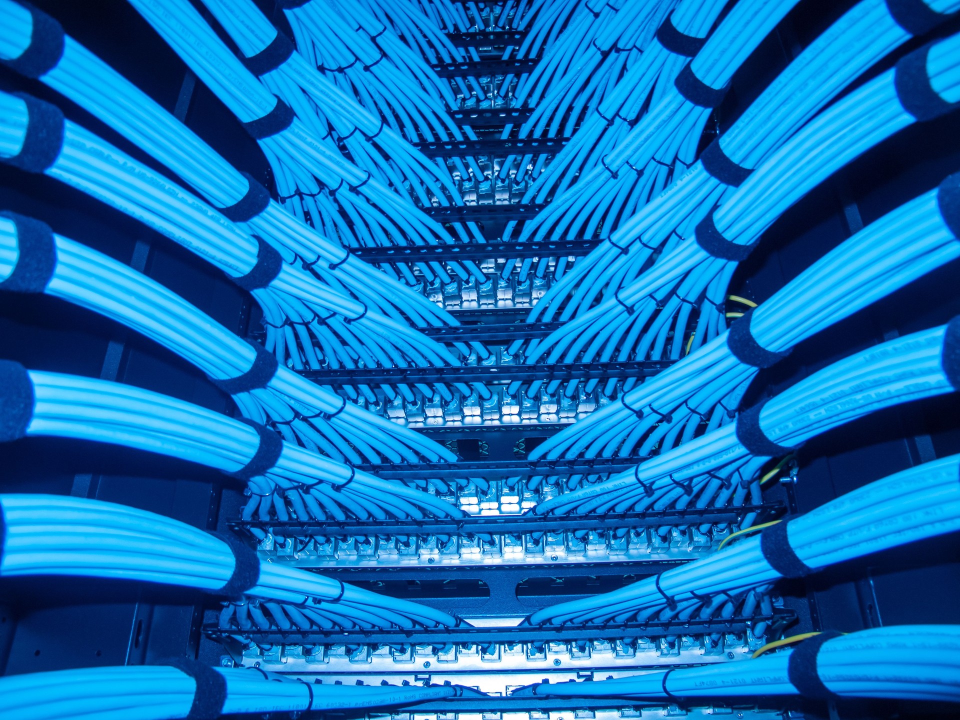 Blue Network Cables Inside Server Rack with Structured Wiring System